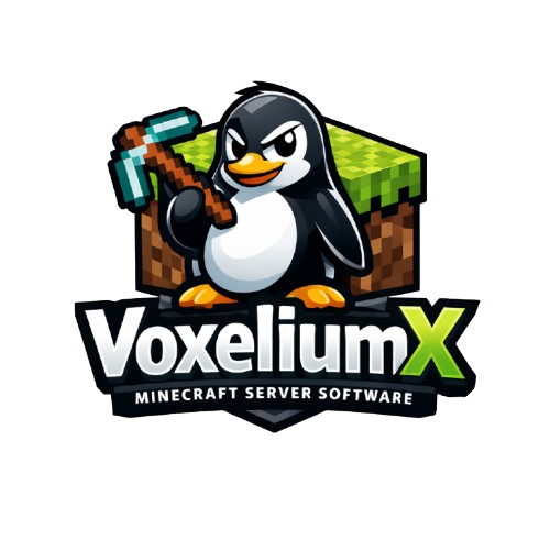 VoxeliumX Logo